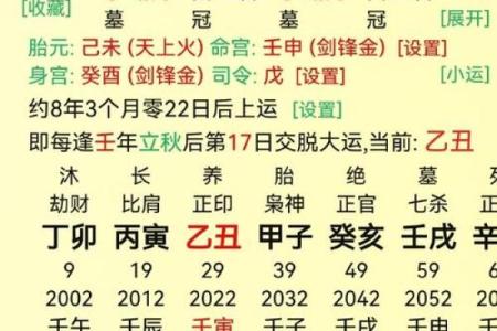 探索戊辰、辛酉、辛巳、癸巳四命的命理奥秘与人生启示