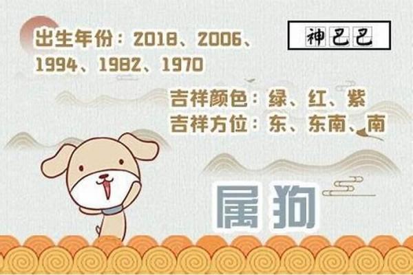 探索十二月生肖狗命运：解读其性格与未来运势