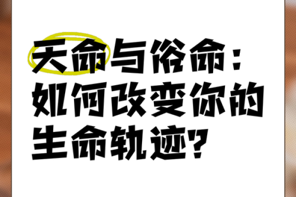 天上火命与其他命格的完美结合：生活中的和谐美学