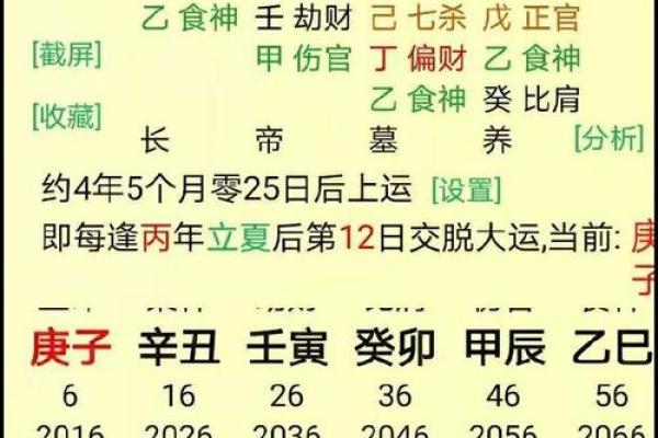 戊寅癸卯癸酉命局解析：命运与人生的奇妙交织