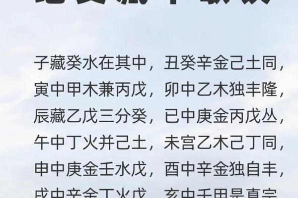 乙木女孩的命理分析：为何乙木在生活中备受青睐？