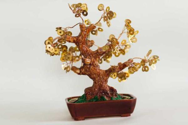 土命人适合佩戴哪些花？让我们一起探索风水与美丽的结合！