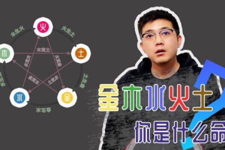 探索石榴木命与最佳命格的神秘关联与和谐共生