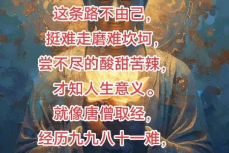 探寻“吾命休矣”的深意与人生启示