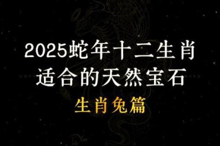 探寻1982年属兔人的命运与人生哲学:兔年生人应如何自我提升与成长