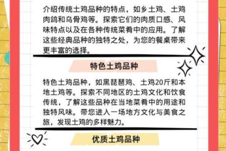 土鸡命:适合从事的行业与人生方向探索