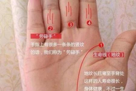五斤九两宝宝的命运揭秘:幸福与吉祥的象征