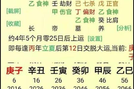 戊寅癸卯癸酉命局解析:命运与人生的奇妙交织