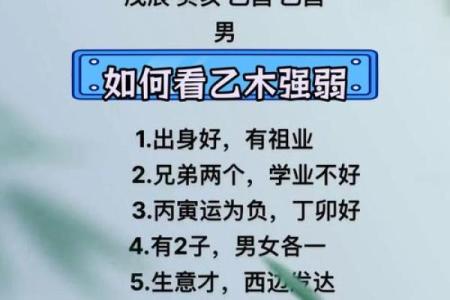 乙木女孩的命理分析:为何乙木在生活中备受青睐?