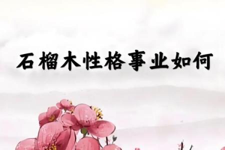 探寻石榴木命的命理秘籍:让生活更美好的方法