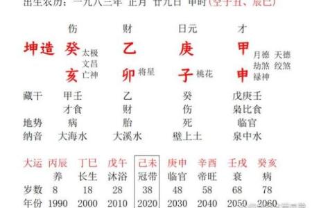 探秘女命中的正官正财:命运的双重护航者