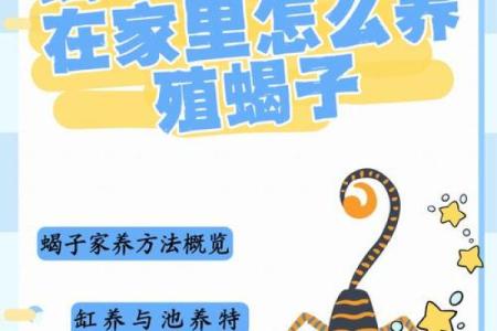 蝎子命最佳!出生在这些时间的你注定非凡!
