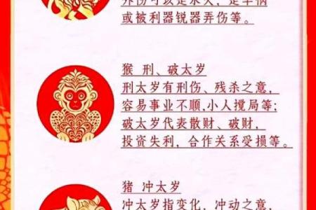 探索命运:生肖与风水的奥秘揭示人生秘密