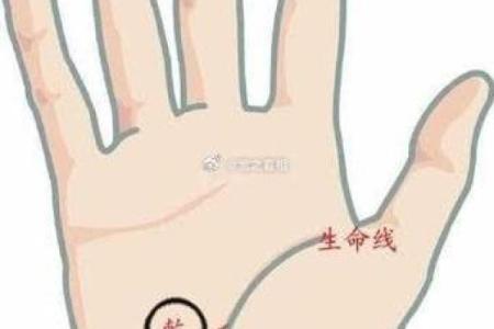 掌握犁头命:如何通过手掌识别自己的人生方向