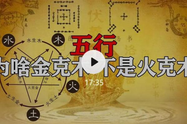 五行属土的人所对应的命理解析与生活启示