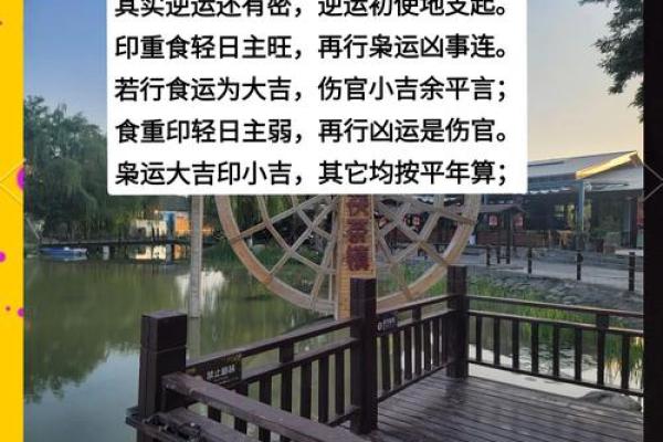 天干卯时正官命解析：揭示运势与性格特征的奥秘