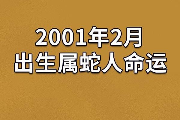 土蛇木命的命运解读：探讨其性格、特点与生活之路