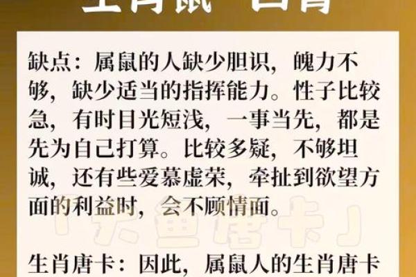 小度属鼠的命运解析：那些关于鼠年的神秘传奇