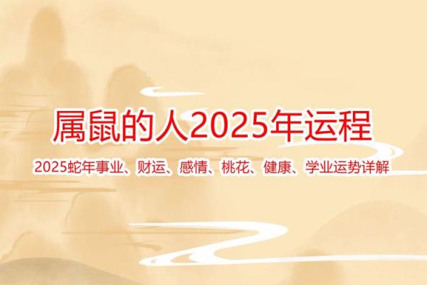 小度属鼠的命运解析：那些关于鼠年的神秘传奇