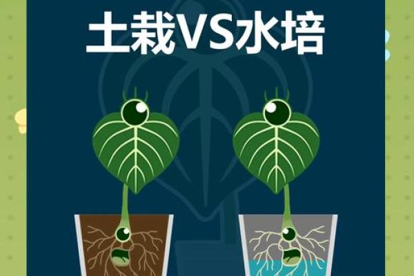 五行土命：如何选择最适合的植物来养护？