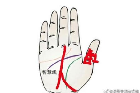 通过手相图探秘命运,揭开你生命中的秘密与未来