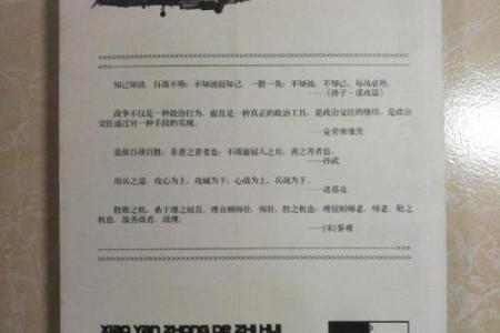 文雅胆大之命：生活中的新解与智慧启示