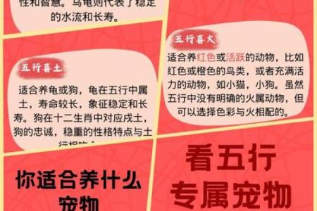 土命、水命与木命的区别与特色探讨