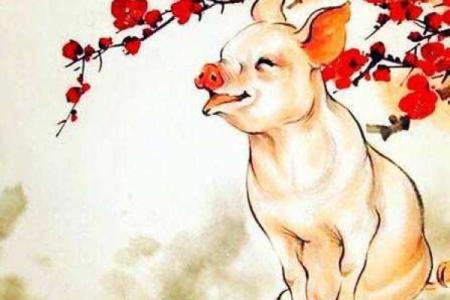 五年属猪命运解析:揭秘猪年人的运势与性格特点