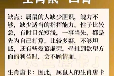 小度属鼠的命运解析:那些关于鼠年的神秘传奇