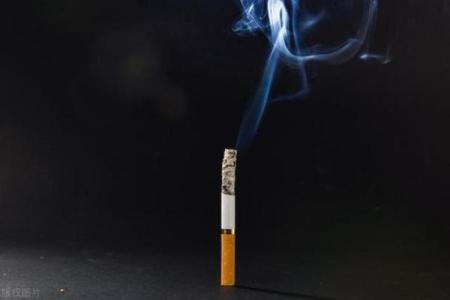 为什么抽烟的人都视烟如命?深入探讨烟草的魅力与困境