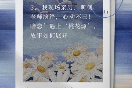 桃花命的女人:魅力四射的爱情旅程与人生启示