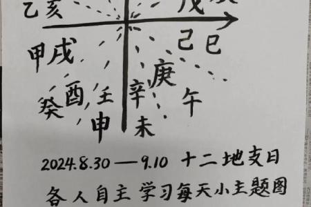 辛亥日戊子时人的命运与性格探秘,解读他们的人生旅程!
