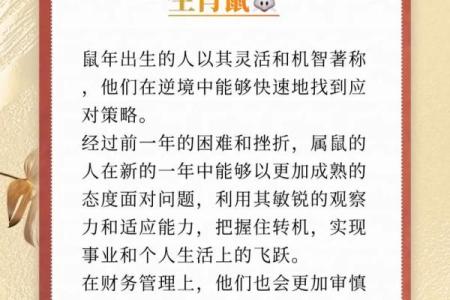 探秘鼠年出生者的命运:他们为何命运多舛?