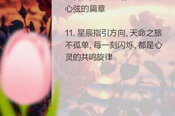 五行命数：寻觅最适合你的命运之路
