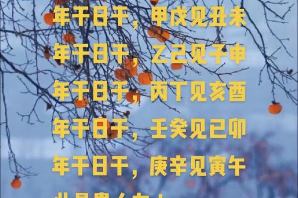戊寅戊午甲辰丙寅命理探秘：揭示命运的奥秘与人生的转机