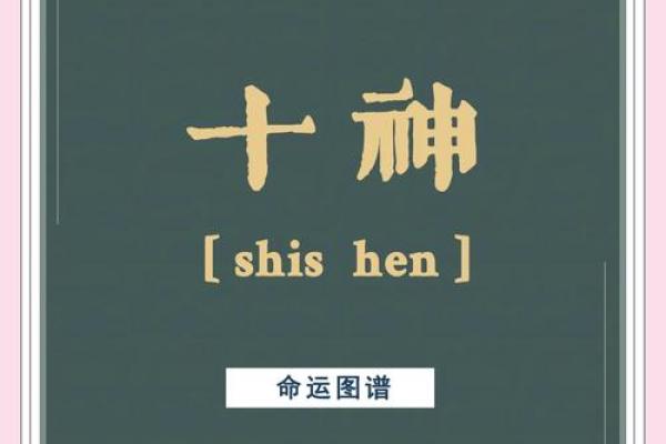 探秘乙己：五行命理下的神秘旅程