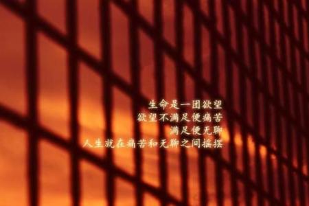 长流水命与五行搭配,找到人生的和谐之路