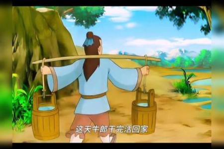 相依为命的老黄牛,忠诚陪伴的乡村缩影