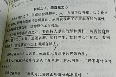 相由心生:如何透过外表看见内心深处的命理之道