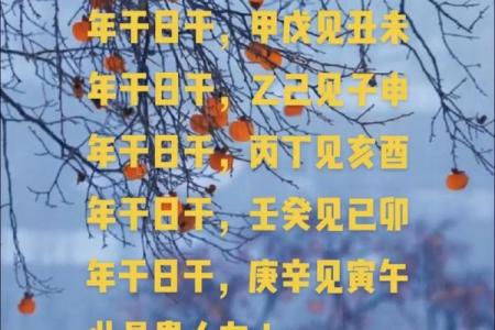 戊寅戊午甲辰丙寅命理探秘:揭示命运的奥秘与人生的转机