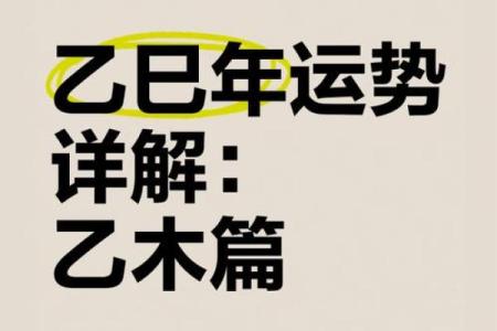 乙木命缺土,适合从事的职业与生活方向探讨