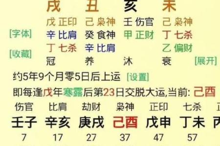 探秘辛亥年最优八字:命理中的财富与成就之道