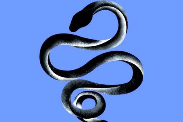 五行中蛇属什么火命？探秘蛇的命理与火的元素关系