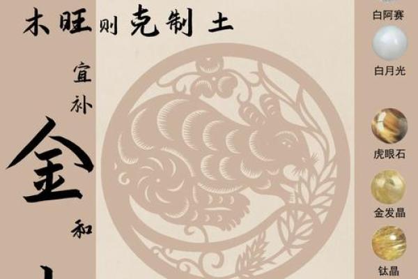 五行中蛇属什么火命？探秘蛇的命理与火的元素关系