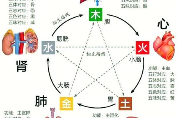 探索命理：命与霹雳火命之间的相克关系