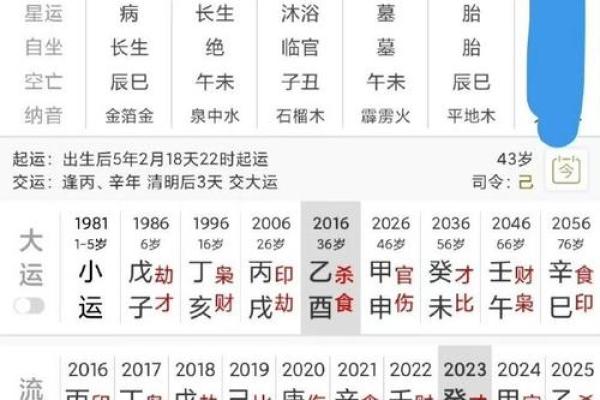 土过旺命，如何转运与提升人生运势