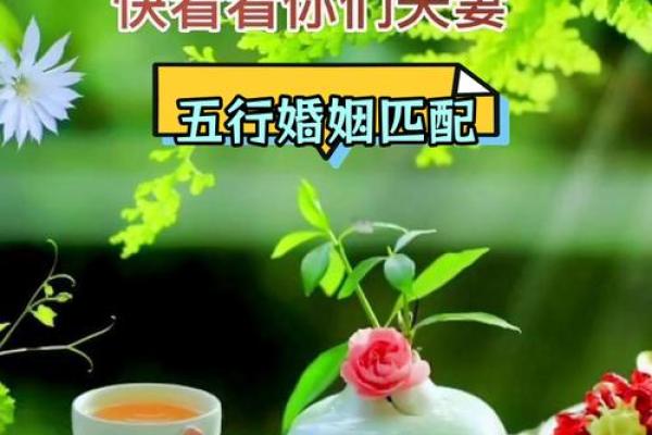 土命男与何命女性最为合拍？探讨最佳婚配搭档！