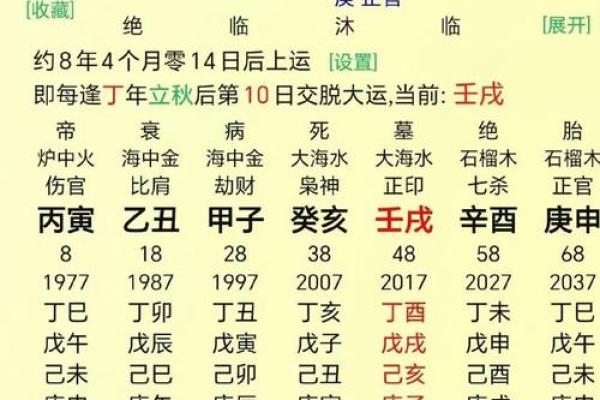 辛巳年的食神命：解析其独特的人生旅程与性格特征