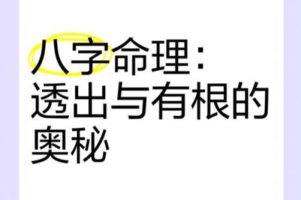 探究命理之根：如何揭示你命里属什么命