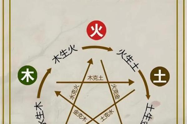 探索五行之道：解读命运与自然的和谐关系